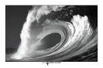 ami de bodyboardcmon adresse Rider_of_waves@hotmail.fr